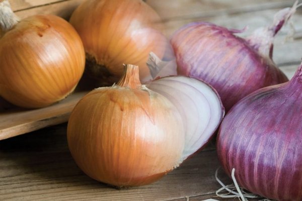 Onion ссылки даркнет